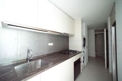 Kopar At Newton (D9), Apartment #477869351